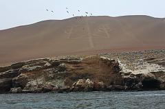 1125-per le isole Ballestas,19 luglio 2013